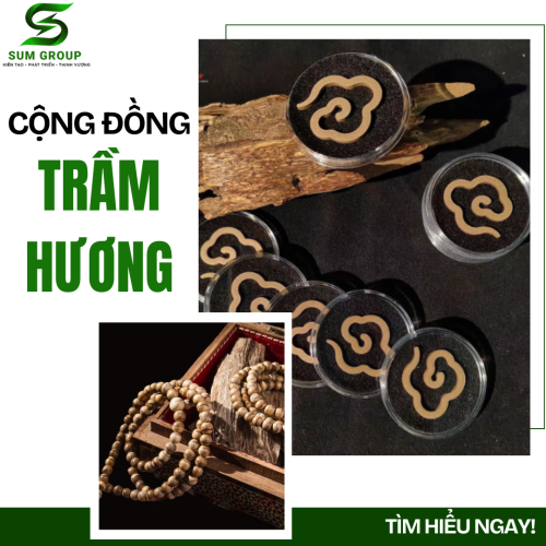 Cộng đồng Trầm Hương